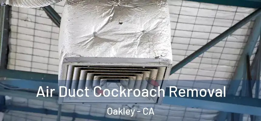Air Duct Cockroach Removal Oakley - CA