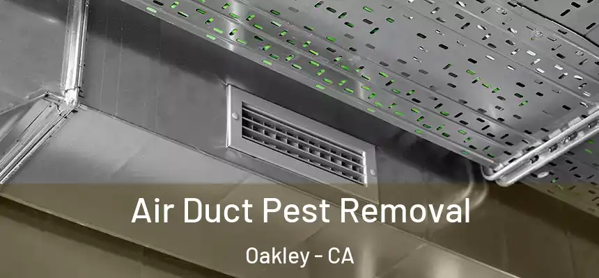Air Duct Pest Removal Oakley - CA