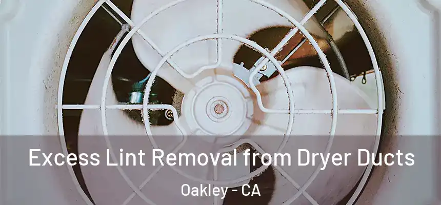  Excess Lint Removal from Dryer Ducts Oakley - CA