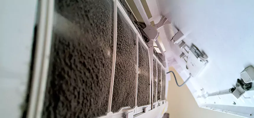 Preventive Air Duct Bacteria Removal in Oakley