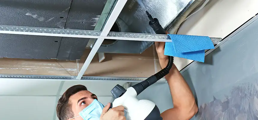 Our Air Duct Rodent Removal Services in Oakley, CA