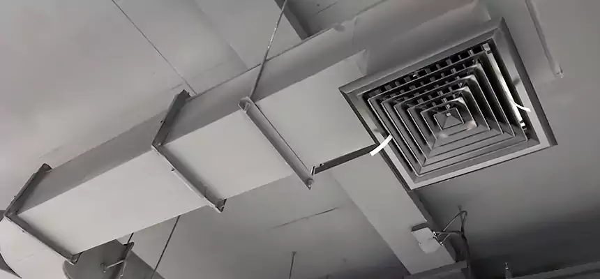 Restorative Allergy Relief Vent Cleaning – Coil, Blower & Housing Detail in Oakley