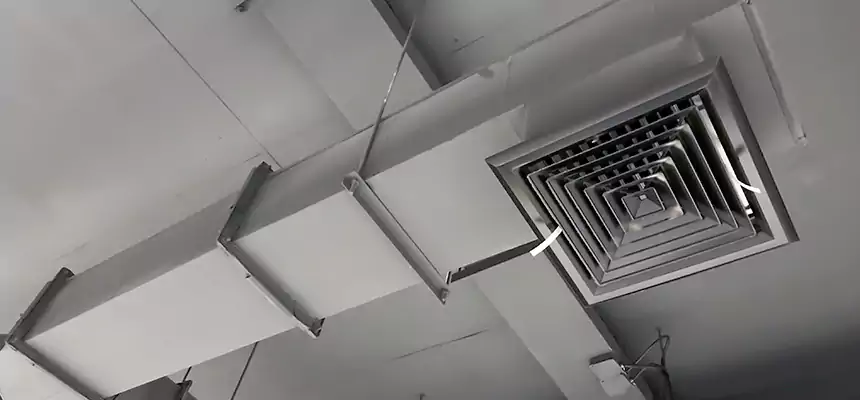 Our Rodent Droppings In Vents Services in Oakley, CA