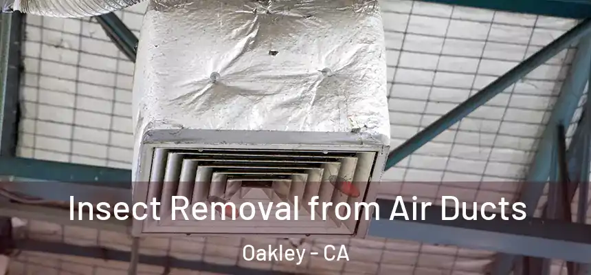 Insect Removal from Air Ducts Oakley - CA