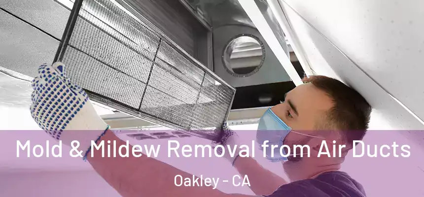 Mold & Mildew Removal from Air Ducts Oakley - CA