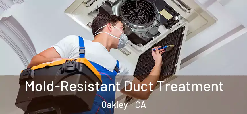 Mold-Resistant Duct Treatment Oakley - CA