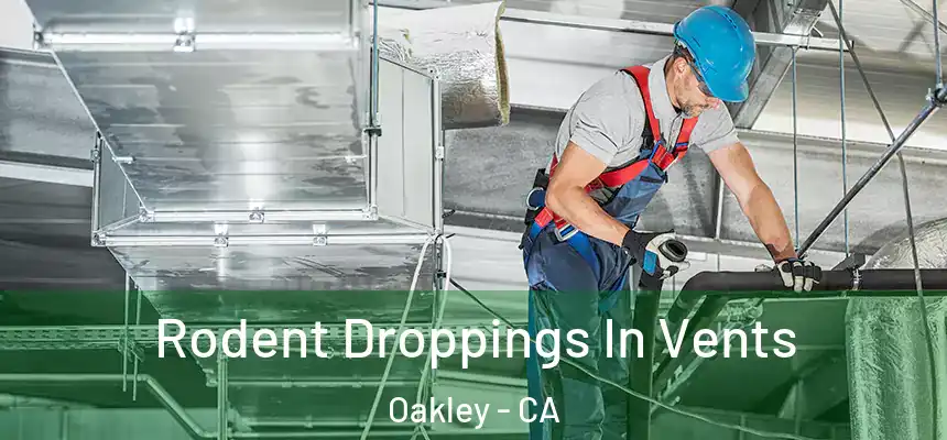  Rodent Droppings In Vents Oakley - CA