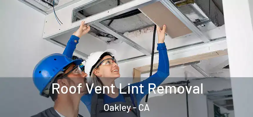 Roof Vent Lint Removal Oakley - CA