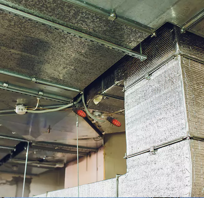 Why Homeowners & Businesses Trust Us in Oakley, CA?