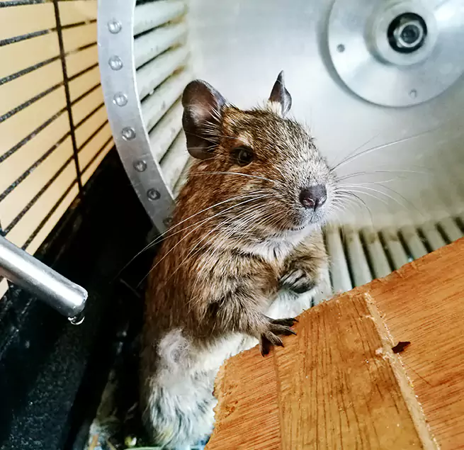 Why Homeowners & Businesses Trust Us Oakley, CA